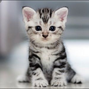 Meet your Posher, Catherine